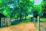 360 Twisting Road - Photo 18