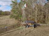 316 Daniel Padgett Road - Photo 52