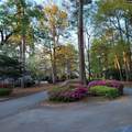 81 Ridge Lake Drive - Photo 34