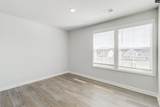 3505 Stedding Place - Photo 16