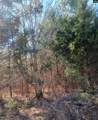1163 Juneberry Rd - Photo 4