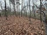1058 Hinson Branch Road - Photo 3