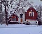 307 Bally Bunion Lane - Photo 5