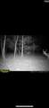 3600 Kennerly Road - Photo 37