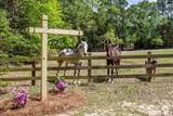 146 Williams Road - Photo 53