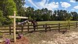 146 Williams Road - Photo 70
