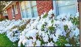 1515 Rushmore Road - Photo 52