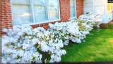 1515 Rushmore Road - Photo 53