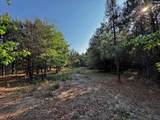247 Dixie Road - Photo 8