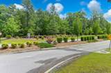 2430 Morning Glory Trail - Photo 46
