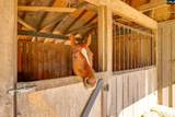 650 Red Fox Road - Photo 1