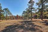 124 Shannon Drive - Photo 2