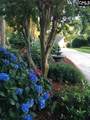 449 Lake Estate Drive - Photo 49