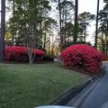 81 Ridge Lake Drive - Photo 22