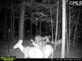 3600 Kennerly Road - Photo 9