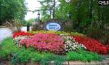 111 Buccaneer Place - Photo 67