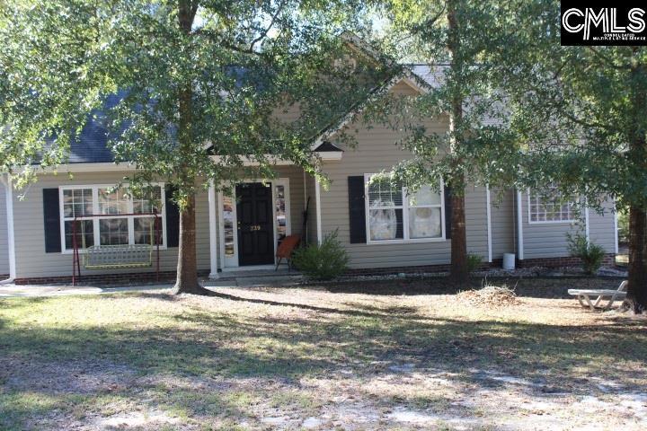 239 Precipice Road - Photo 1
