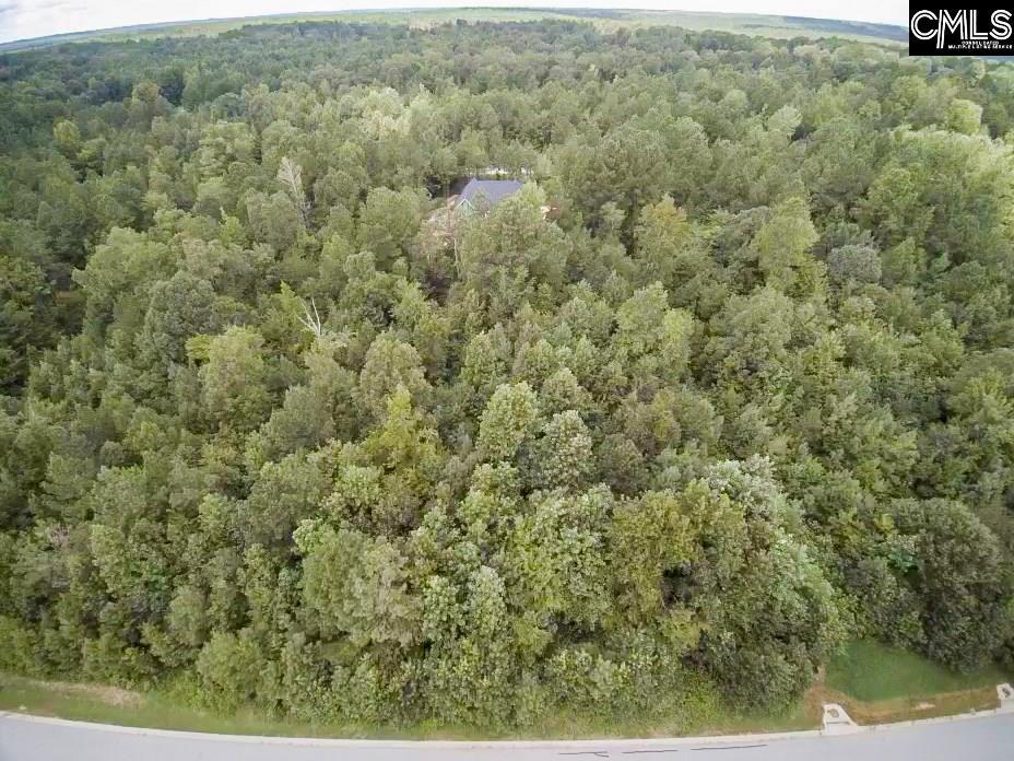 355 Creek Ridge Loop - Photo 1