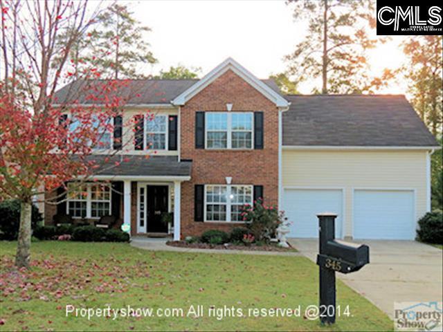 345 Southmen Lane - Photo 1