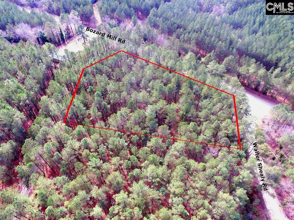 2609 Walter Shealy Road - Photo 1