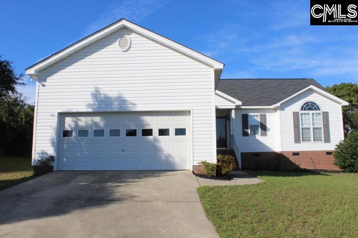265 Colony Lakes Drive - Photo 1
