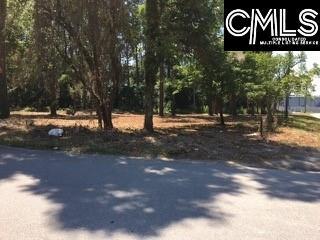 2501 Kneece Road - Photo 1