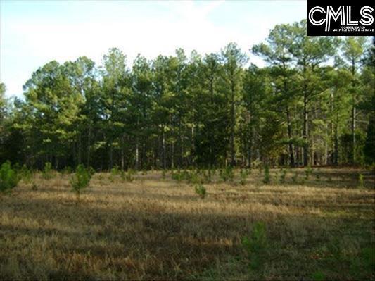 215 Savannah Branch Trail - Photo 1