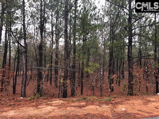 Centerville Road - Photo 1
