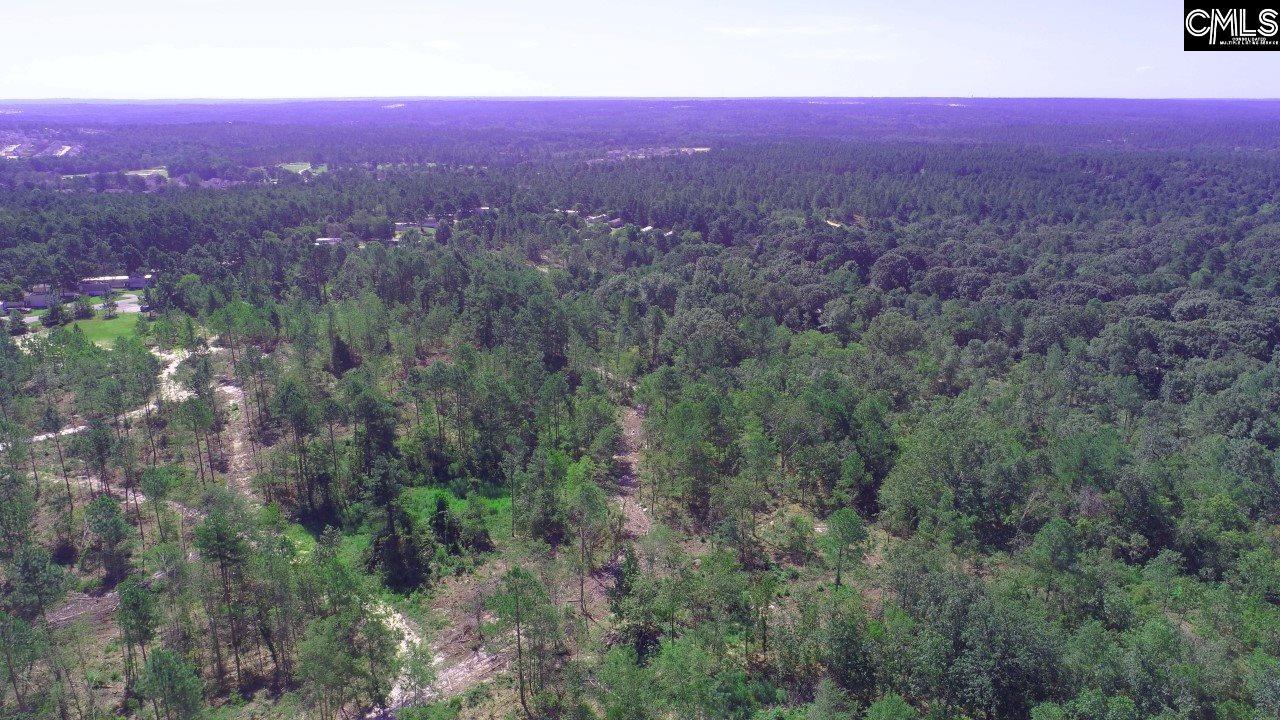 1189 Basin Rock Lane - Photo 1