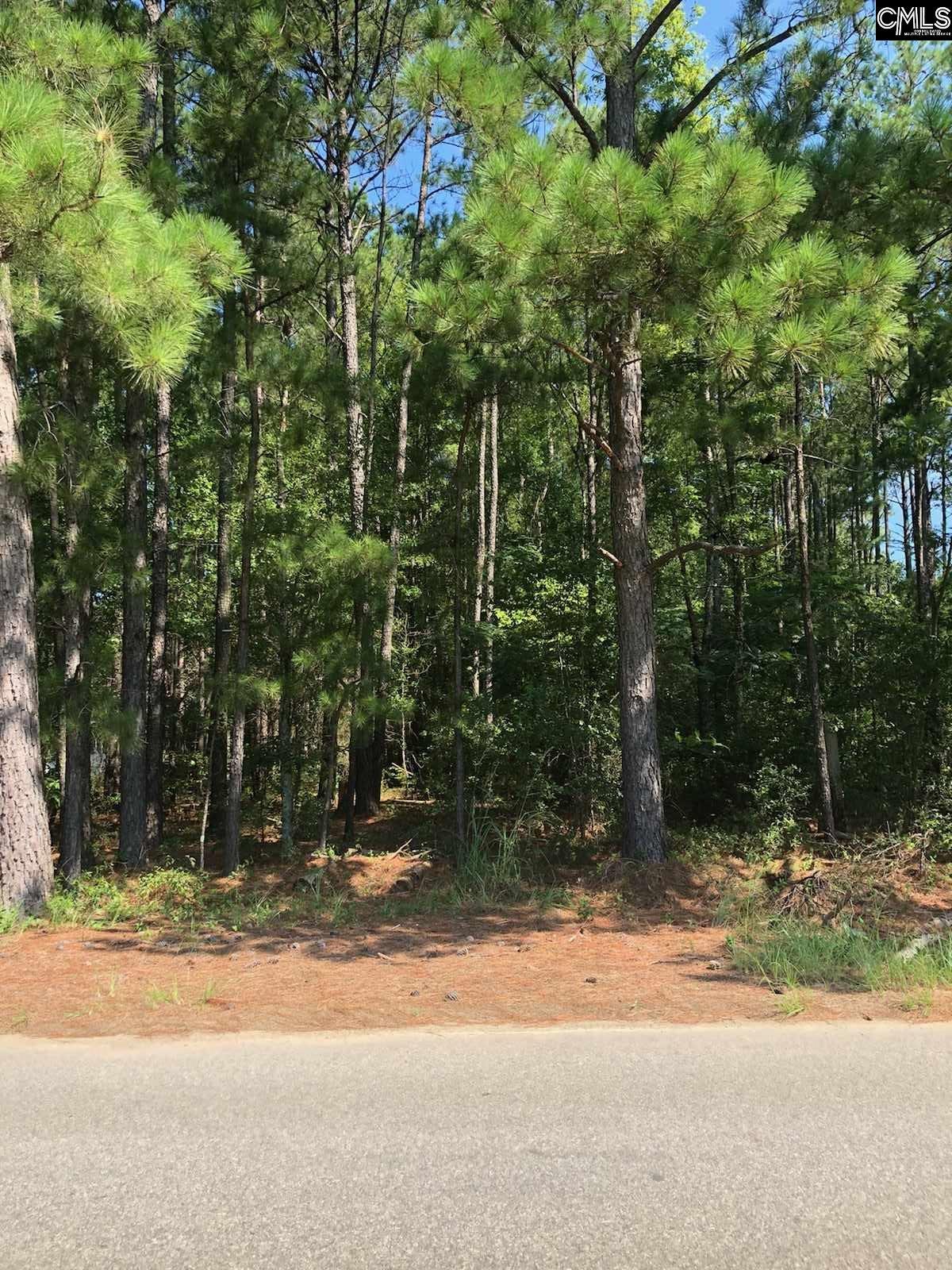 1111 Crossing Creek Road - Photo 1