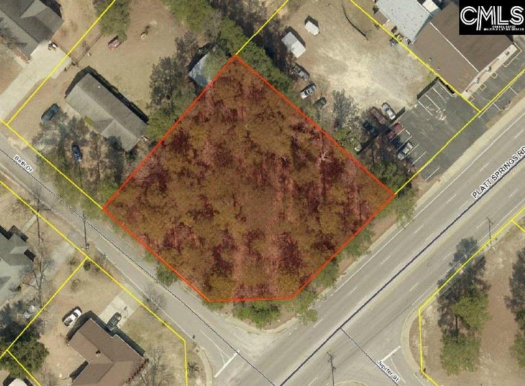 0 Platt Springs Road - Photo 1
