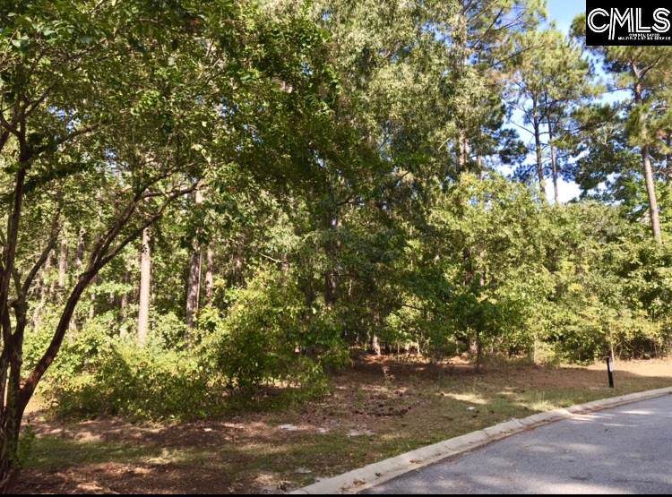 202 Buckthorn Circle - Photo 1