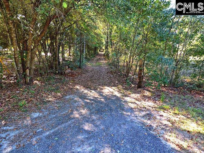 215 Precipice Road - Photo 1