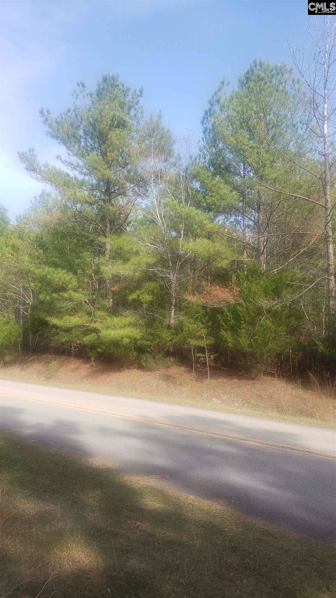 2120 Lystra Road - Photo 1
