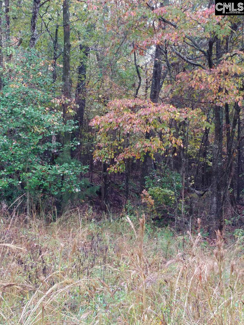 0 Cowhorn - Photo 1