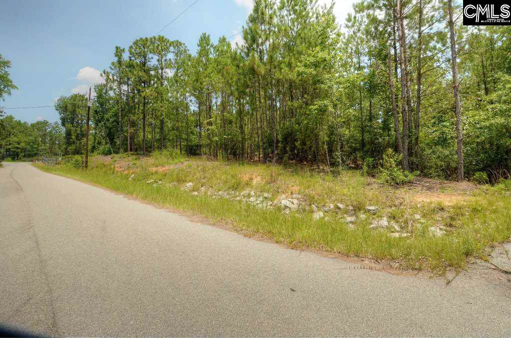 317 Richland Farms Road - Photo 1