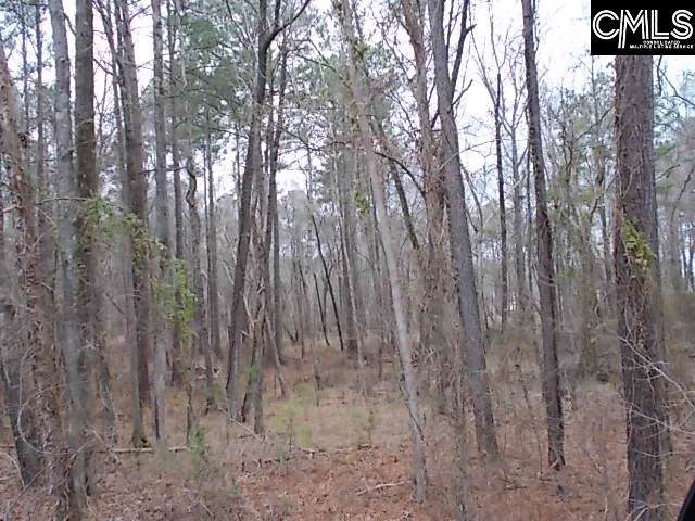 141 Rockbridge Road - Photo 1
