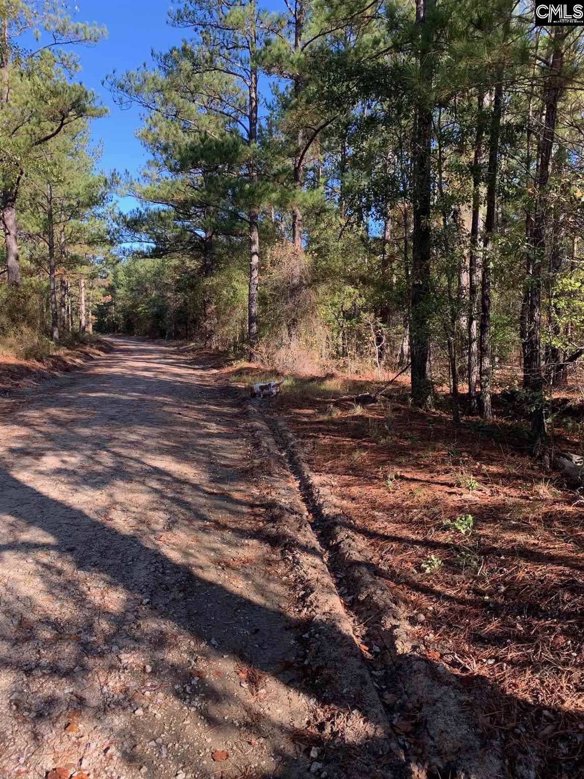 00 Mud Dauber Road - Photo 1