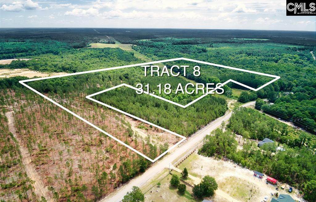 Tract 8 Lawhorn Road - Photo 1