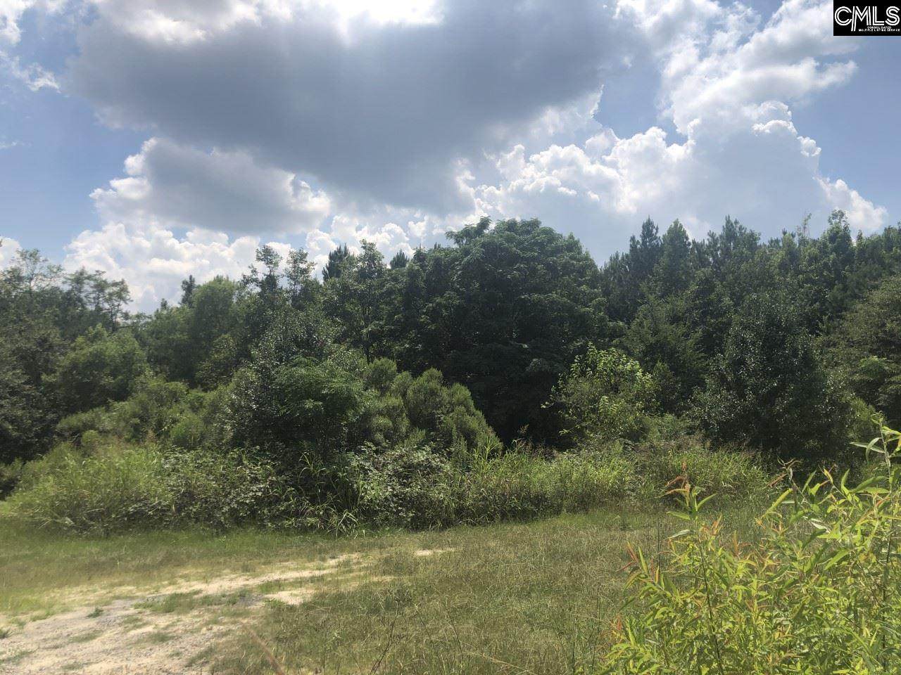 305 Highway 378 - Photo 1