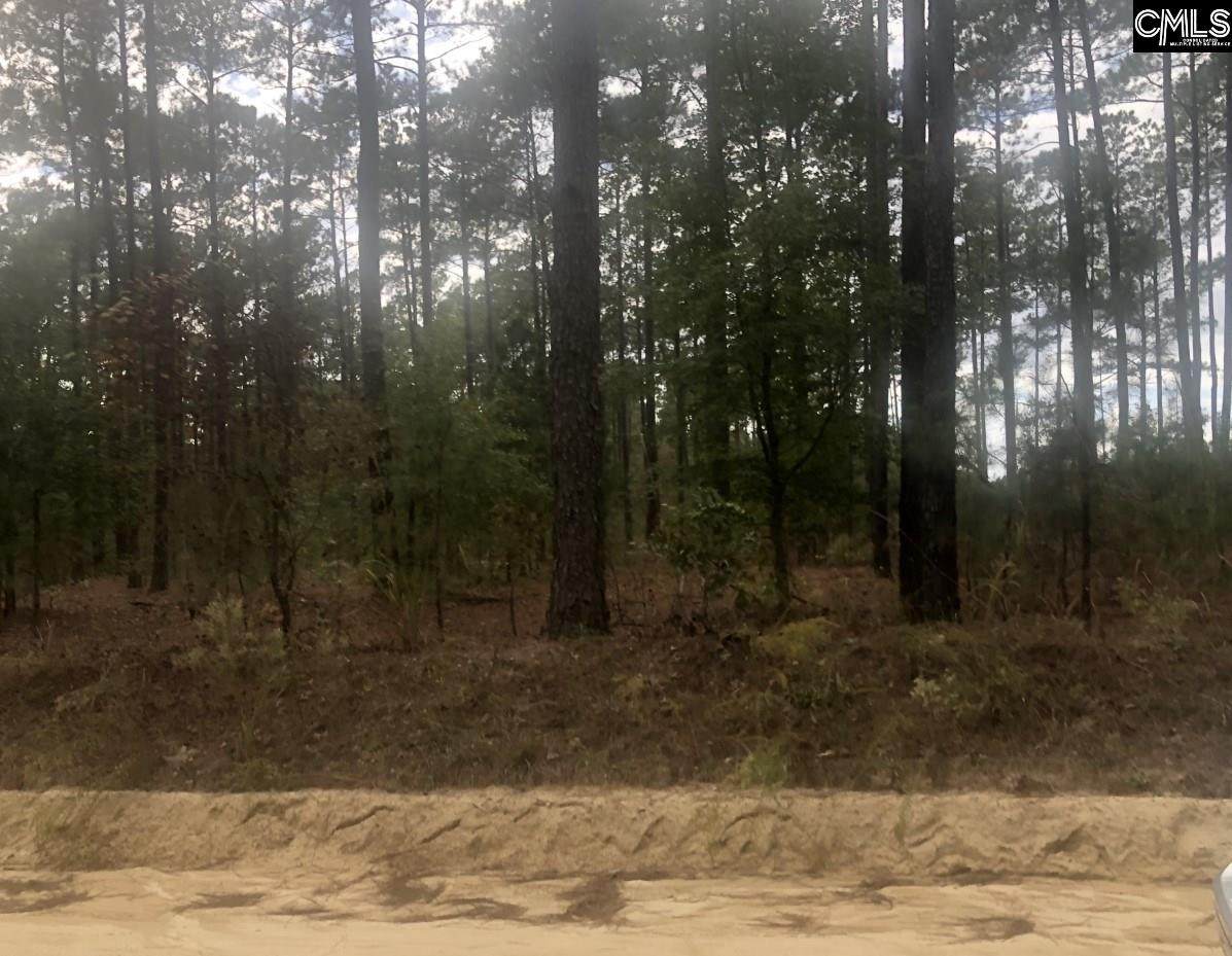 2275 Etters Lane - Photo 1