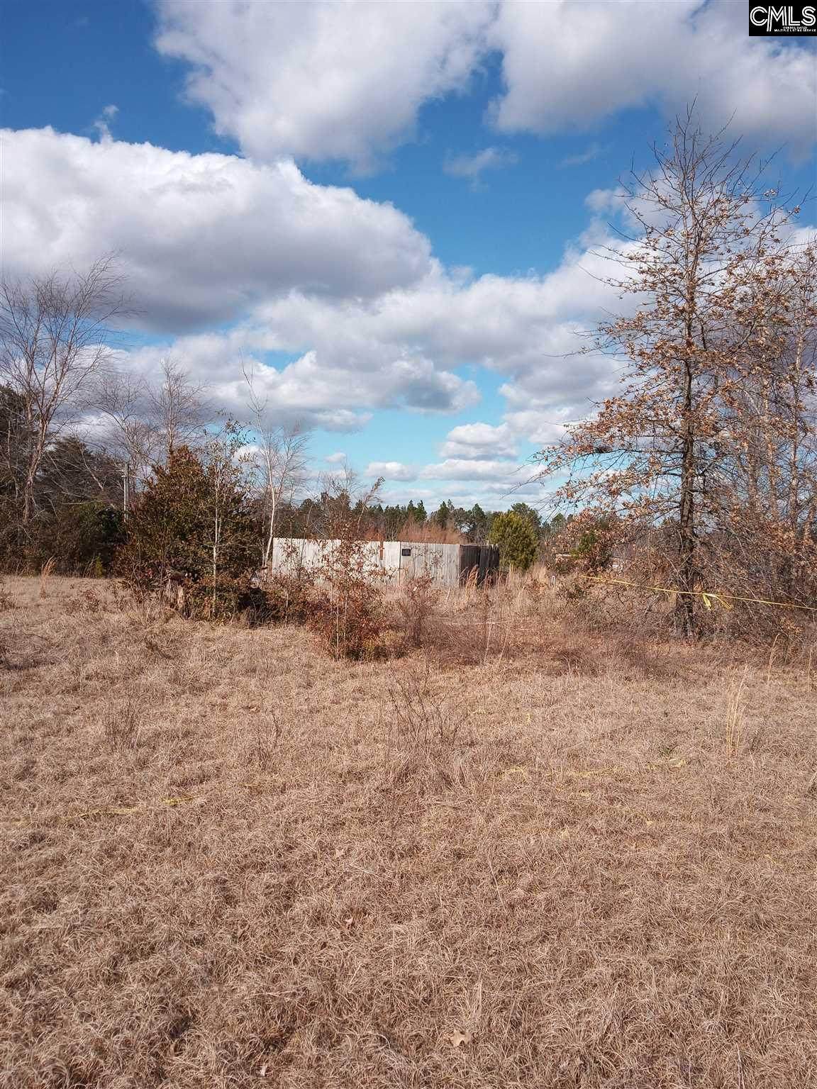 130 Earl Lucas Road - Photo 1