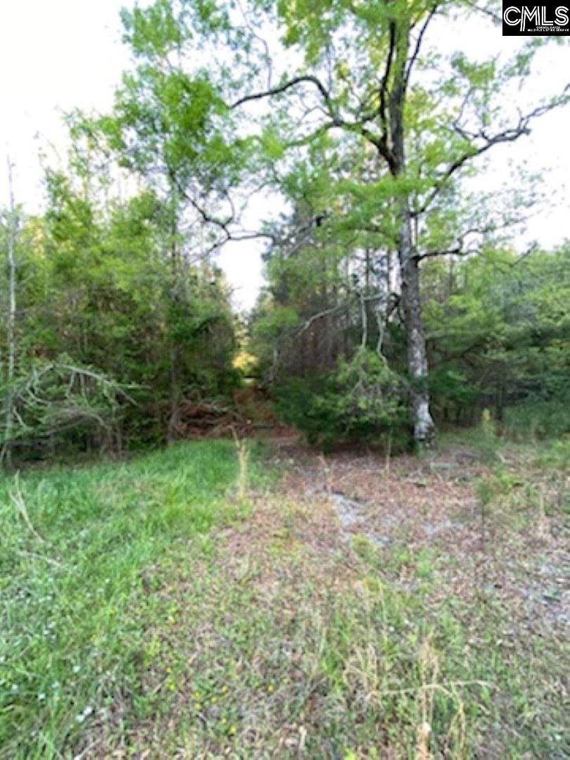 6511 Us Hwy 176 - Photo 1