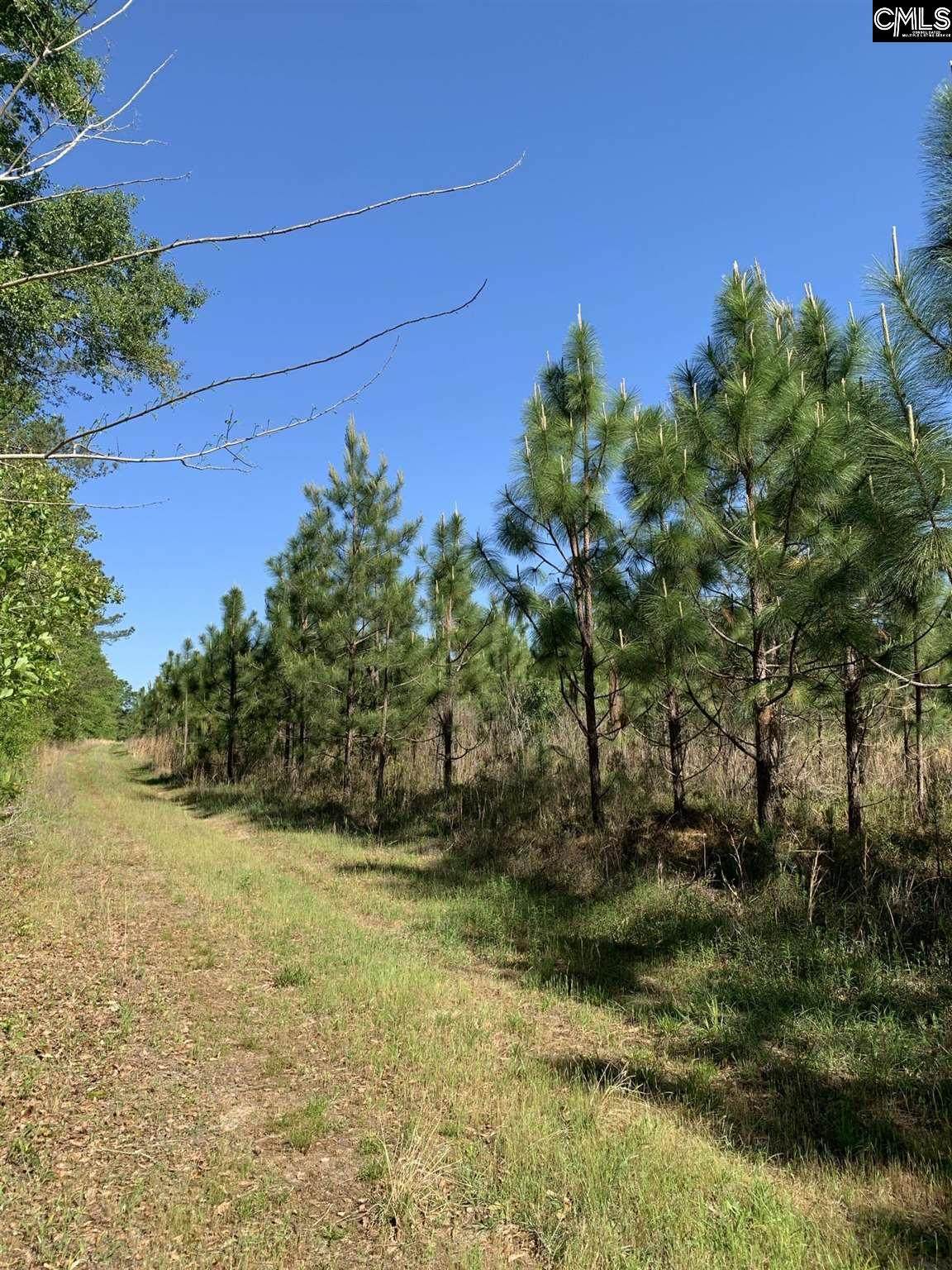 819 Fellowship Road - Photo 1