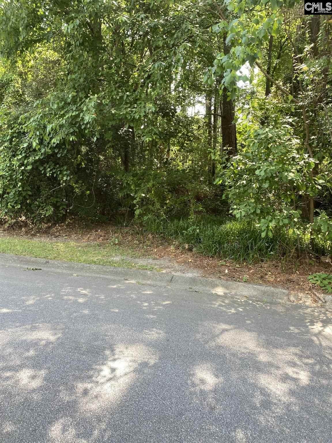 210 Wild Cherry Road - Photo 1