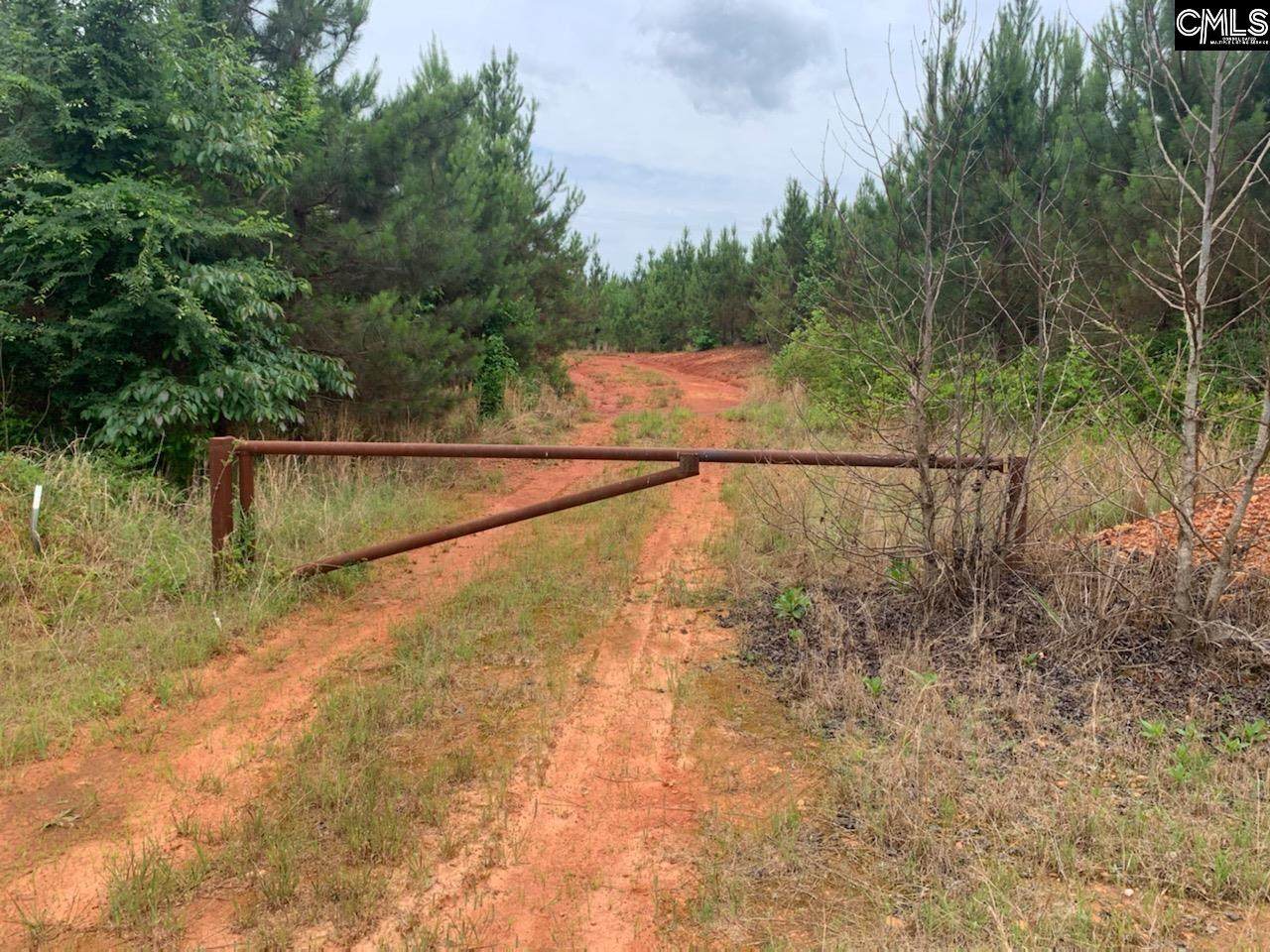 0 Pineywoods Road - Photo 1