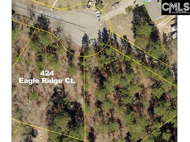 424 Eagle Ridge Court - Photo 1