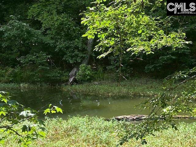 230 Holland Shores Lane - Photo 1