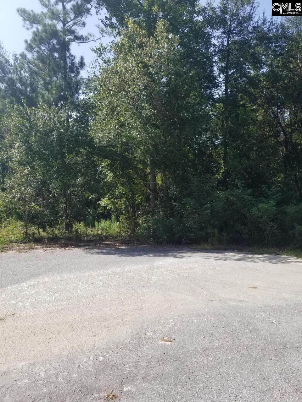 125-A Rolling Hills Lane - Photo 1