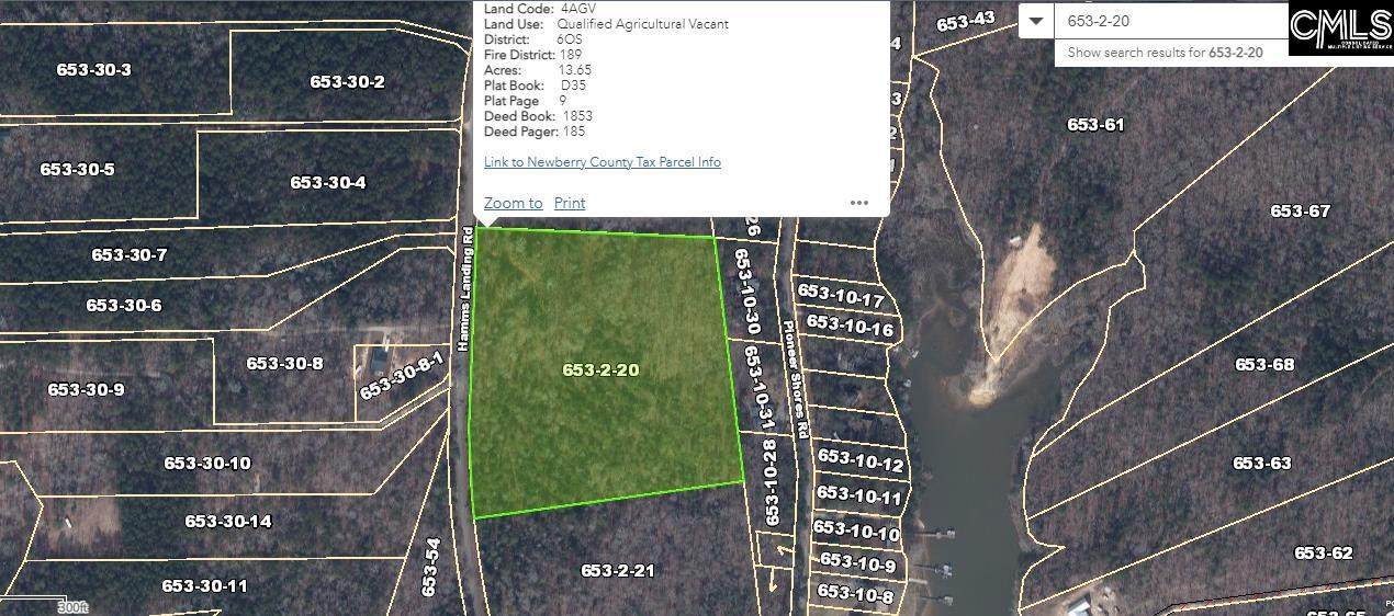 TBD Hamms Landing Road - Photo 1